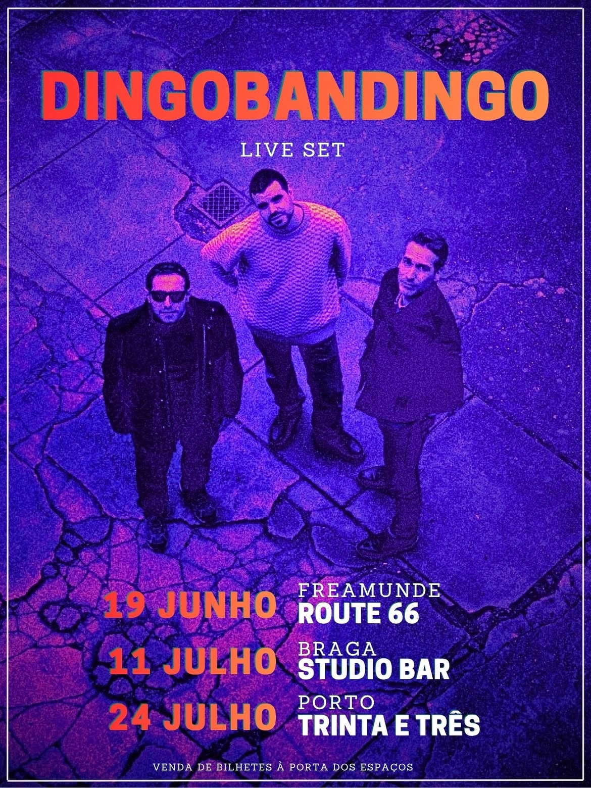 Dingobandingo